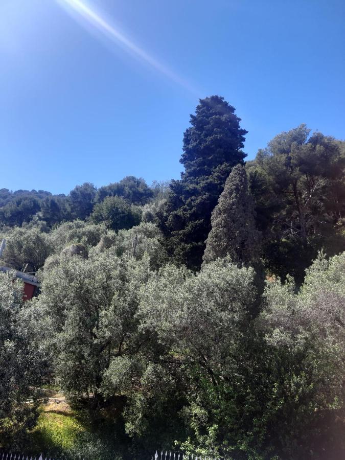 הוילה לאיגואליה Spectacular Sea View - 3 Minutes Walk From The Sea מראה חיצוני תמונה